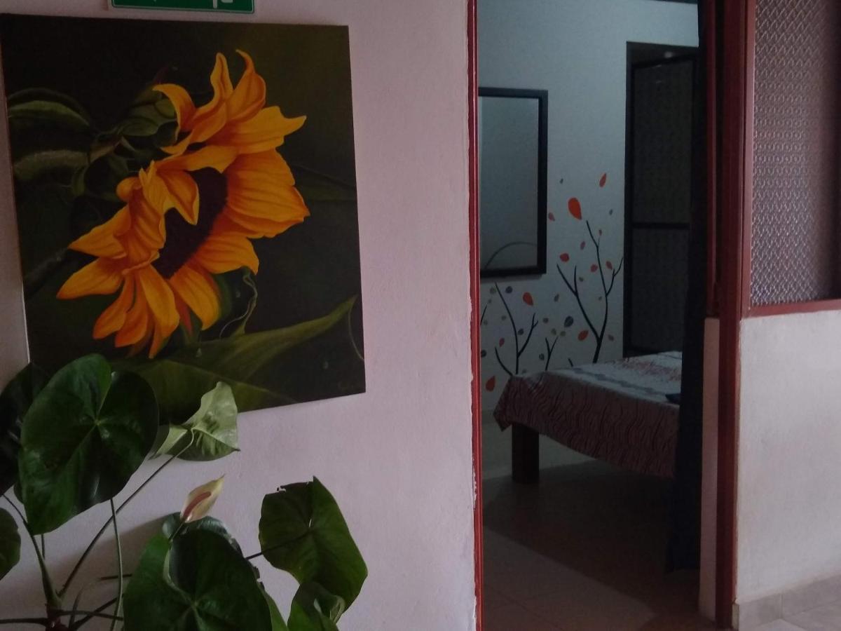 Casa Pacha 호텔 과두아스 외부 사진
