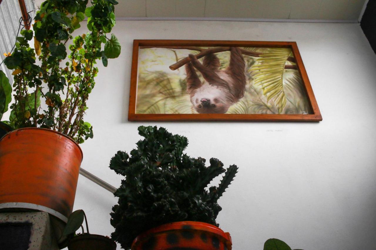 Casa Pacha 호텔 과두아스 외부 사진